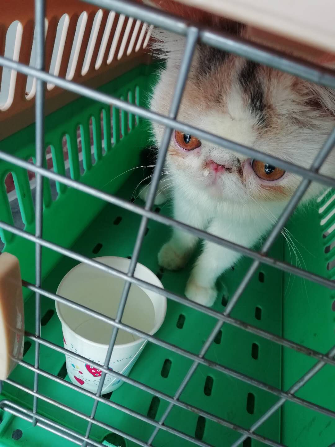 7fbc927e43ecad2995930ff410e1f7a