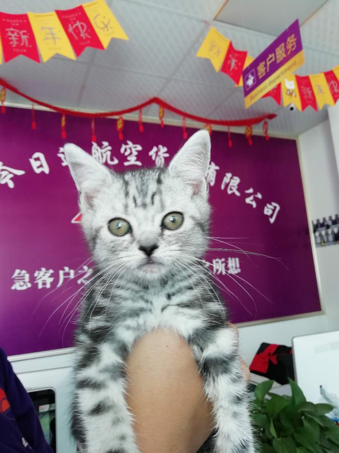 8e24753be88a2eb5ec73f0ef6236eb4