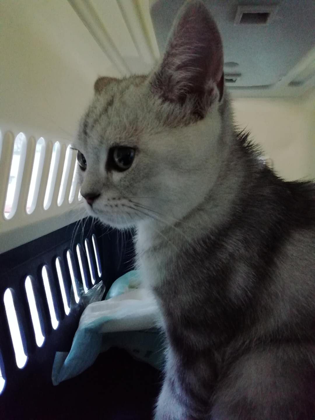 b2e1abb63213dd7a36da2bb718a282c