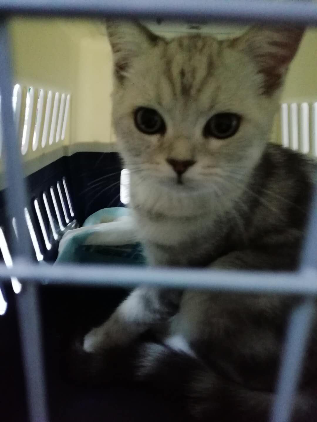 dd1924d1826eb1df6d3e275f61fe9b3