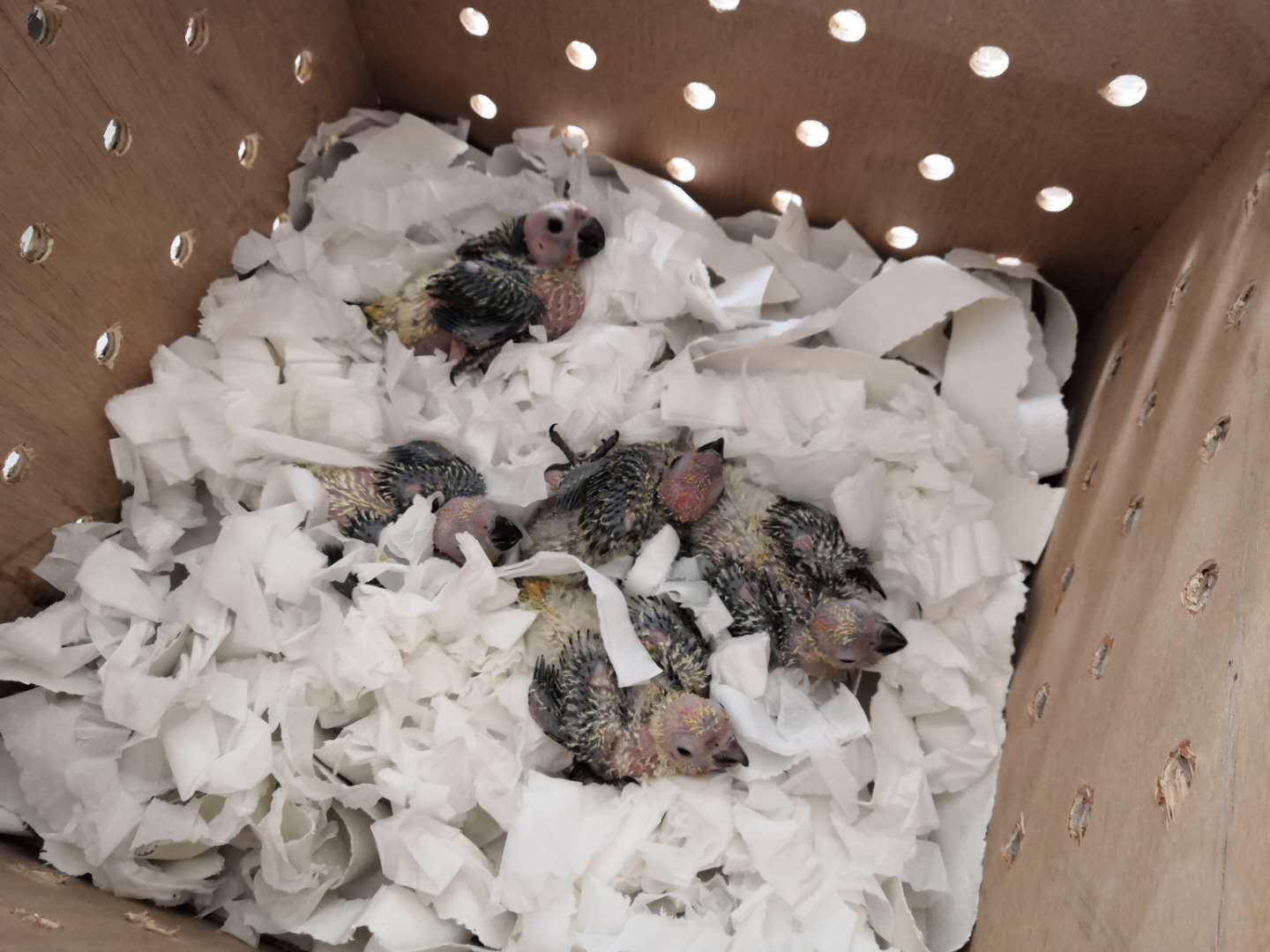 746da5ce3c60e4e276f044c2105903e