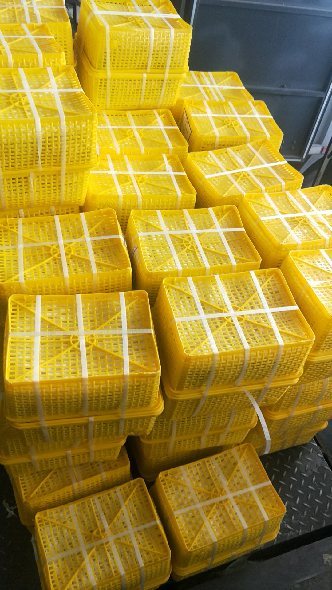 6849988c65399699ecf880781cbccbb