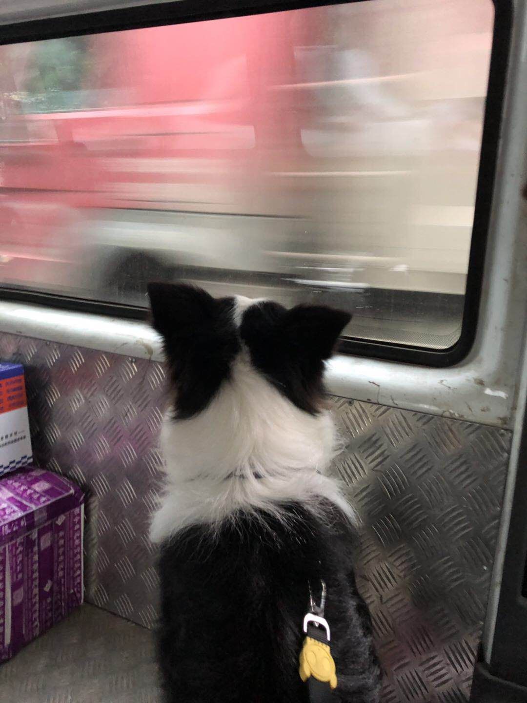 0572ca8f02a97c58d2e14a29fc8d86b