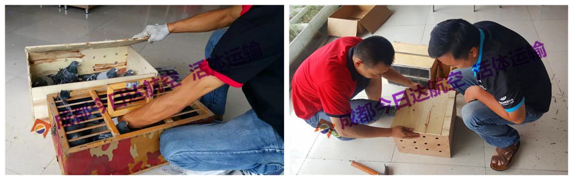 201811210154566293486110467