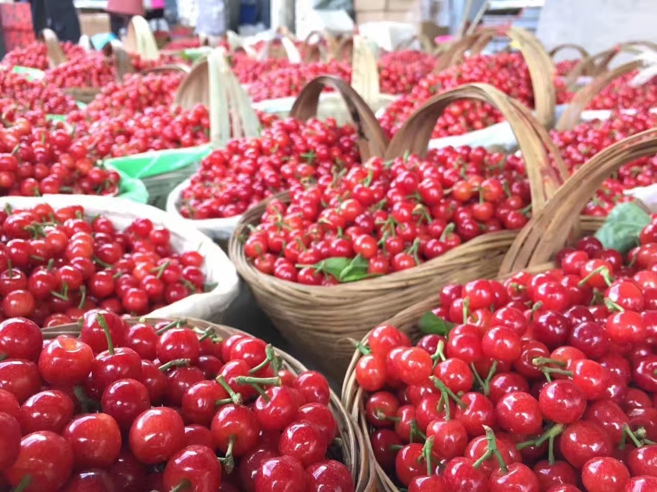 ​成都航空货运水产海鲜空运怎么发？-四川今日达航空快递