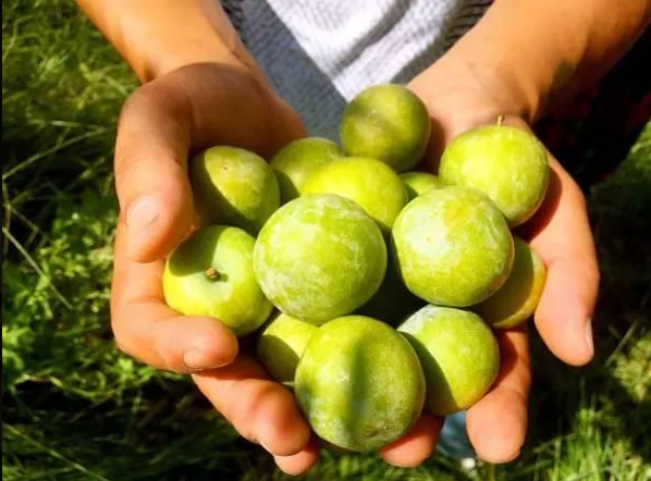 ​​成都航空货运找哪家？-四川今日达航空快递网